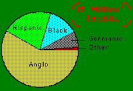 Texas ethnicity pie chart