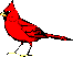 Tweet-tweet!