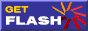 You'll use MacroMedia's Flash Player on many, maybe most, other sites, as well!